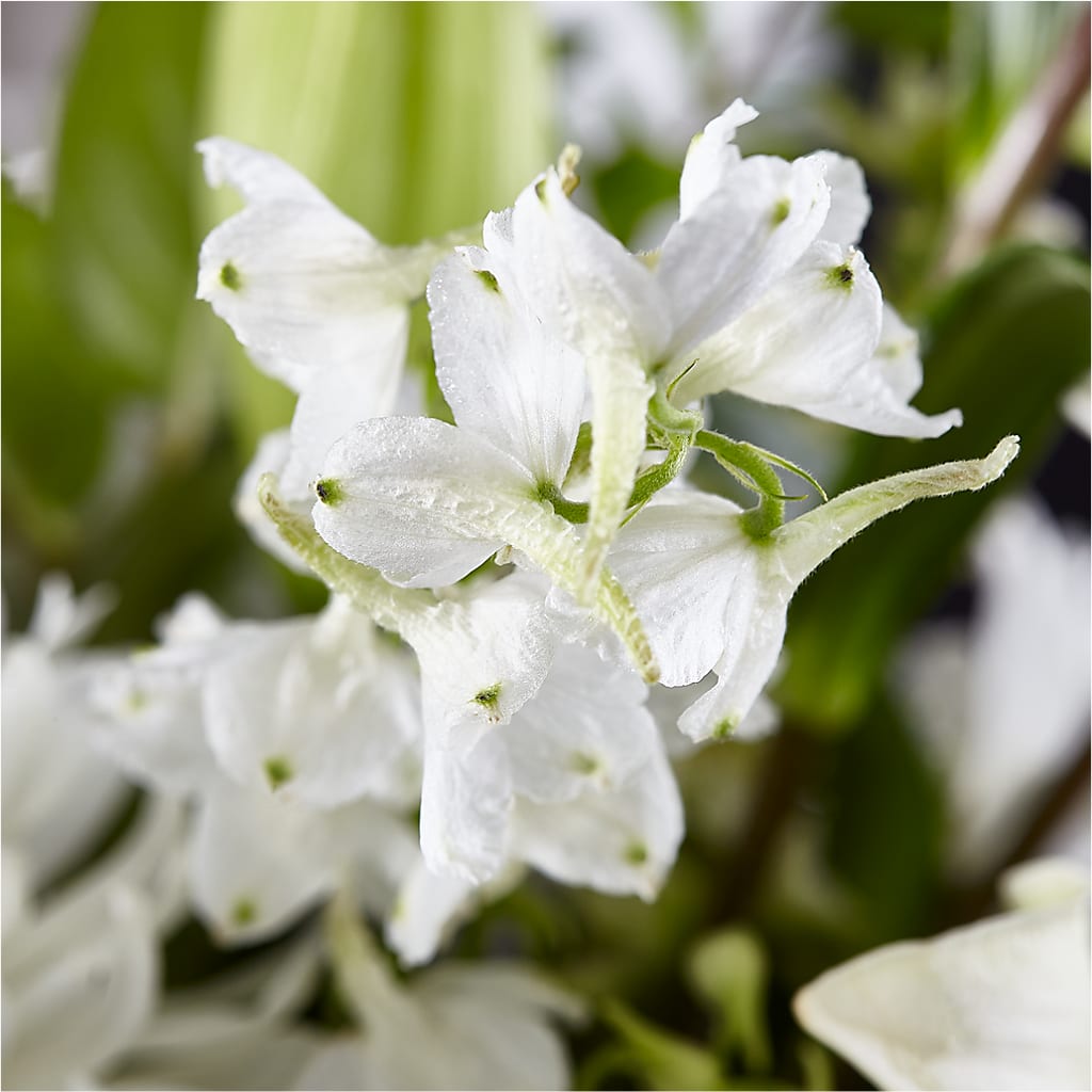 Classic Ivory – A Florist Original –  Gainesville Floral Exchange, Gainesville FL