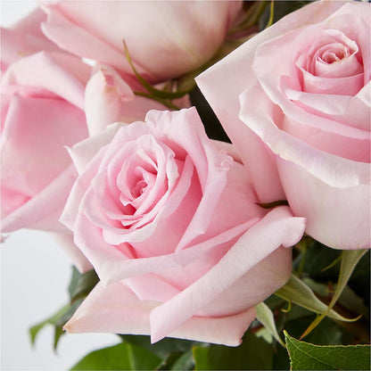 Picture Perfect Pink Rose Bouquet –  Gainesville Floral Exchange, Gainesville FL
