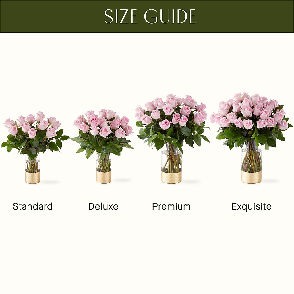 Picture Perfect Pink Rose Bouquet –  Gainesville Floral Exchange, Gainesville FL