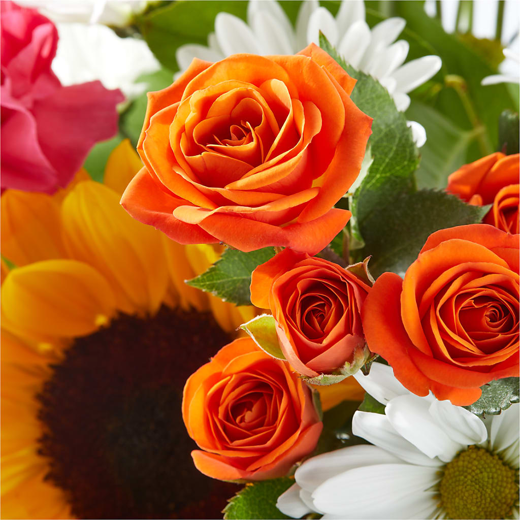 Sun-drenched Blooms Bouquet –  Gainesville Floral Exchange, Gainesville FL