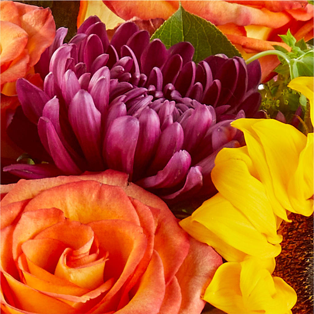 Nature Walk Bouquet –  Gainesville Floral Exchange, Gainesville FL