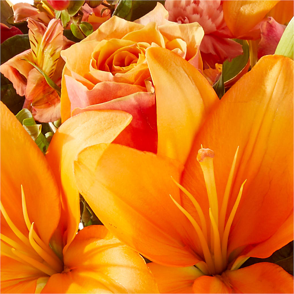 Afternoon Light Bouquet –  Gainesville Floral Exchange, Gainesville FL