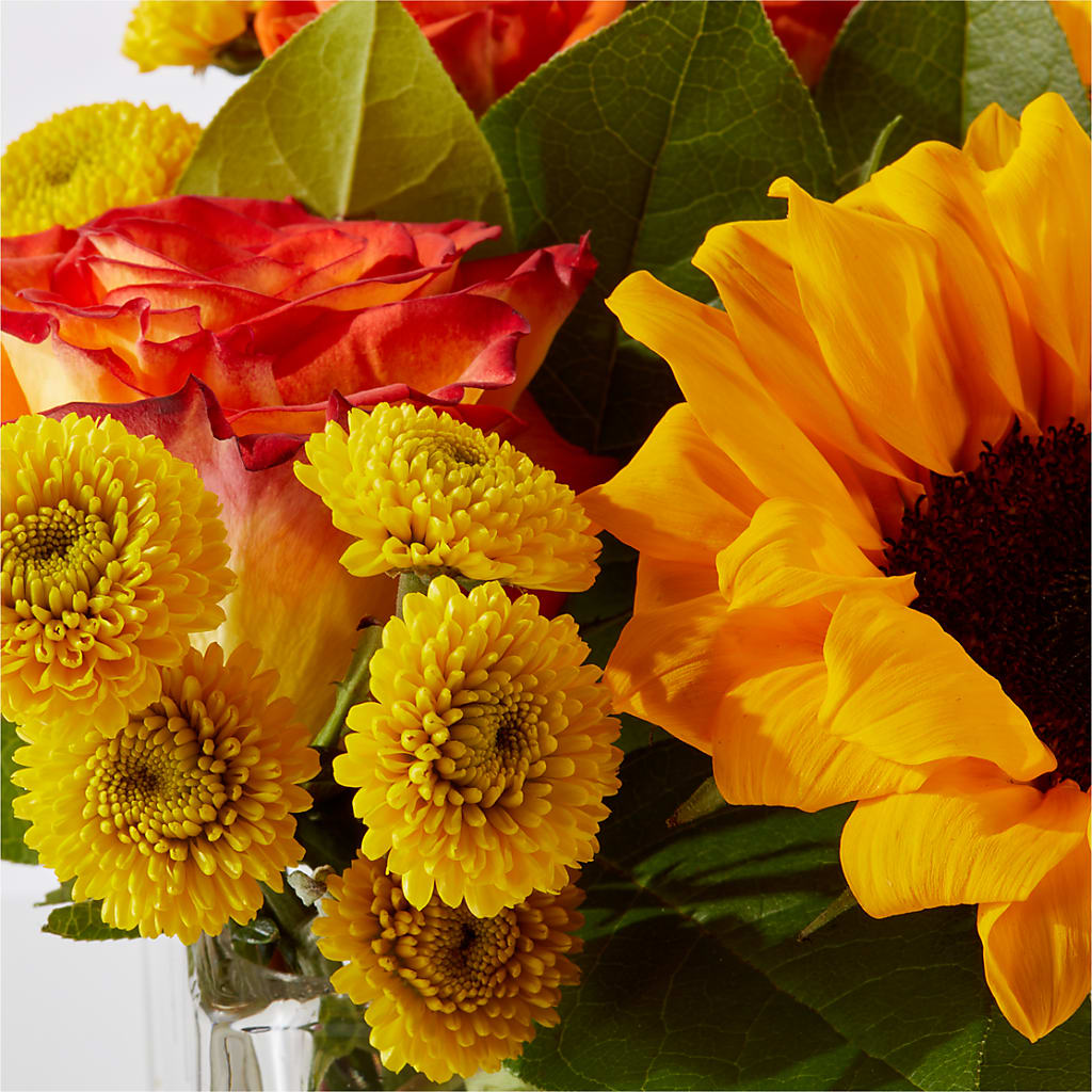 Picnic in the Park Bouquet –  Gainesville Floral Exchange, Gainesville FL