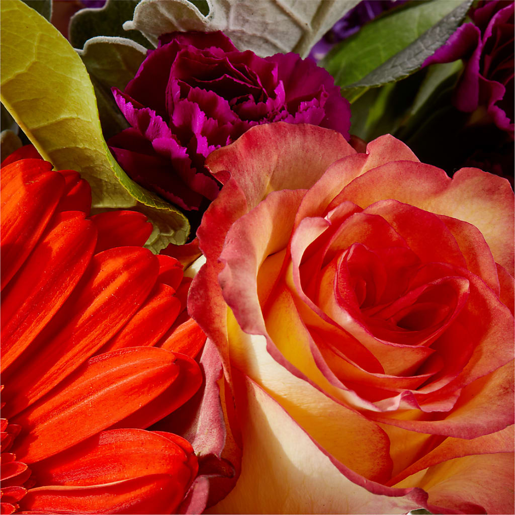 Sangria Bouquet –  Gainesville Floral Exchange, Gainesville FL