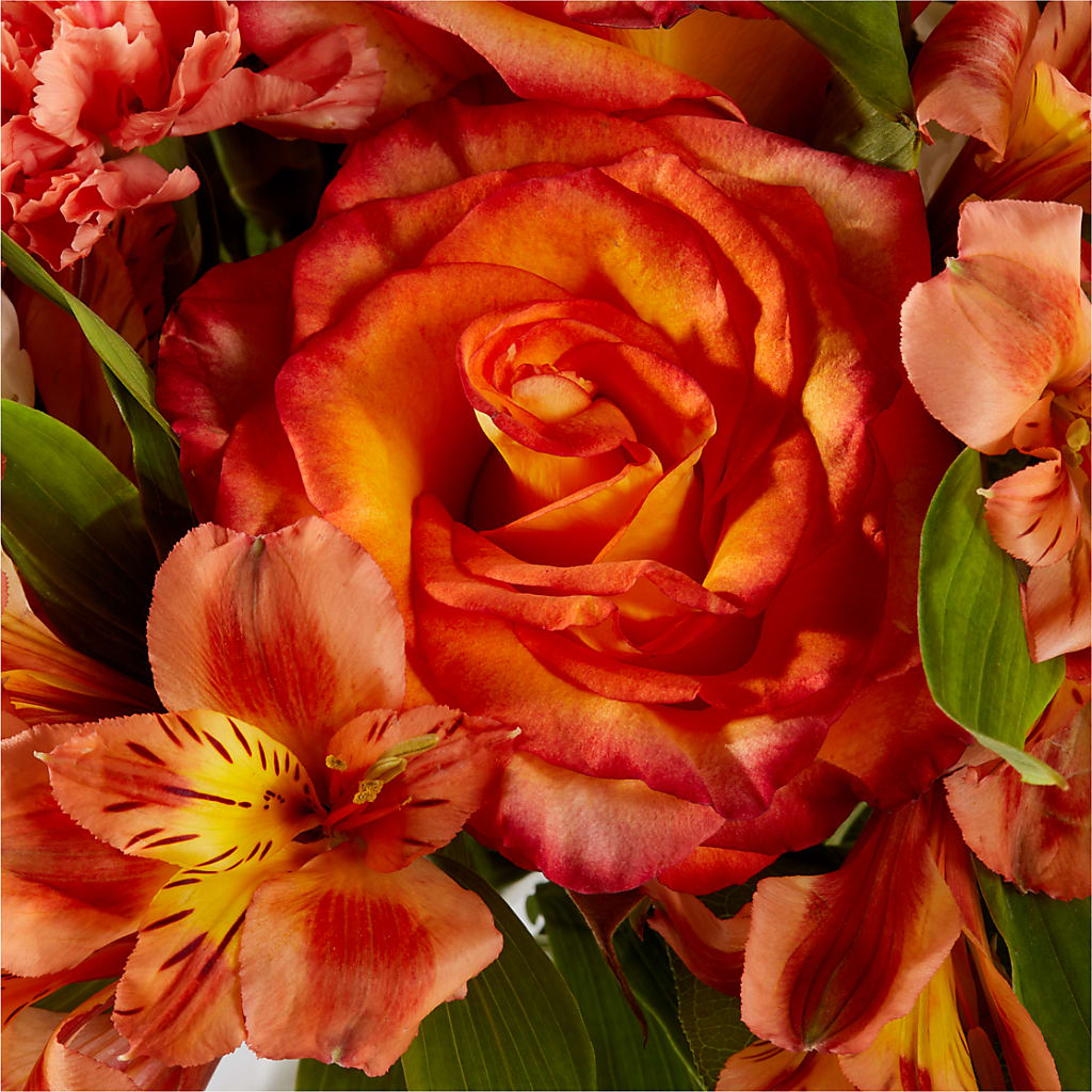 Apricot Glow Bouquet –  Gainesville Floral Exchange, Gainesville FL