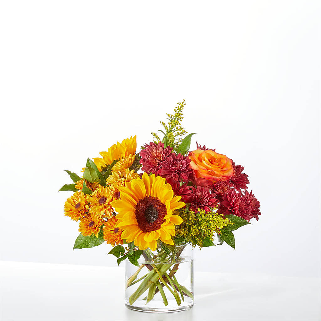 Flannel Scarf Bouquet –  Gainesville Floral Exchange, Gainesville FL