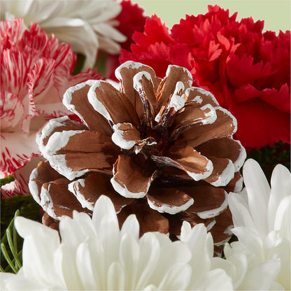 Candy Cane Lane Bouquet –  Gainesville Floral Exchange, Gainesville FL