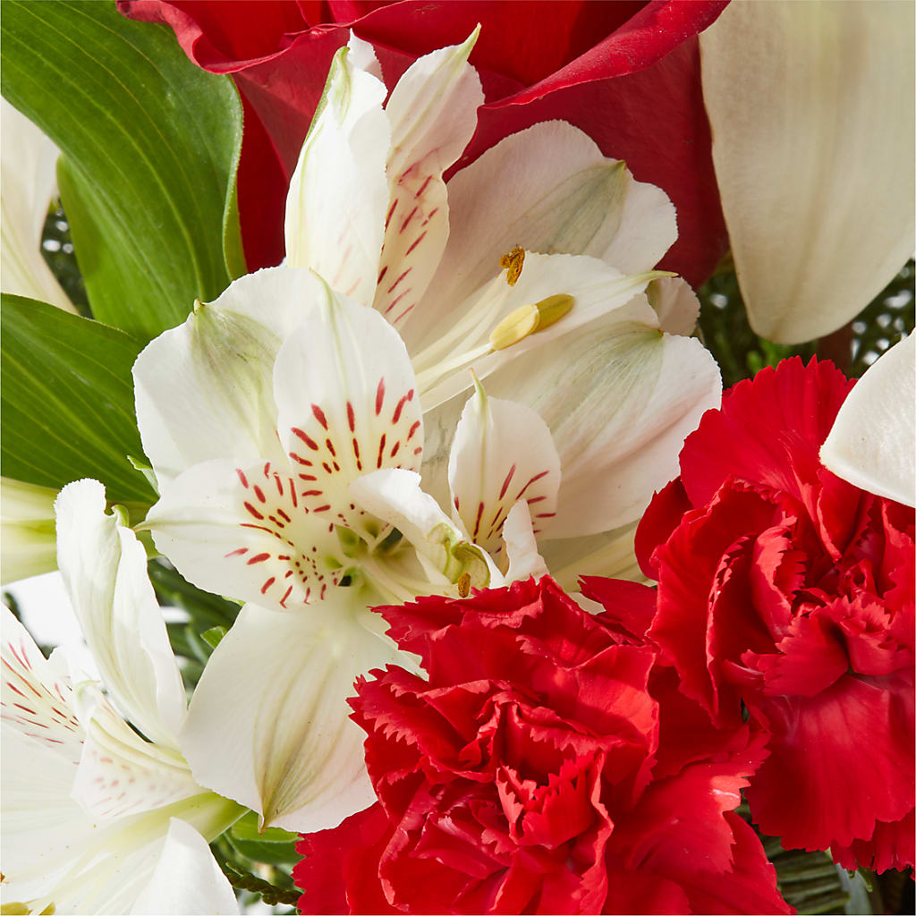 Holiday Season Bouquet –  Gainesville Floral Exchange, Gainesville FL