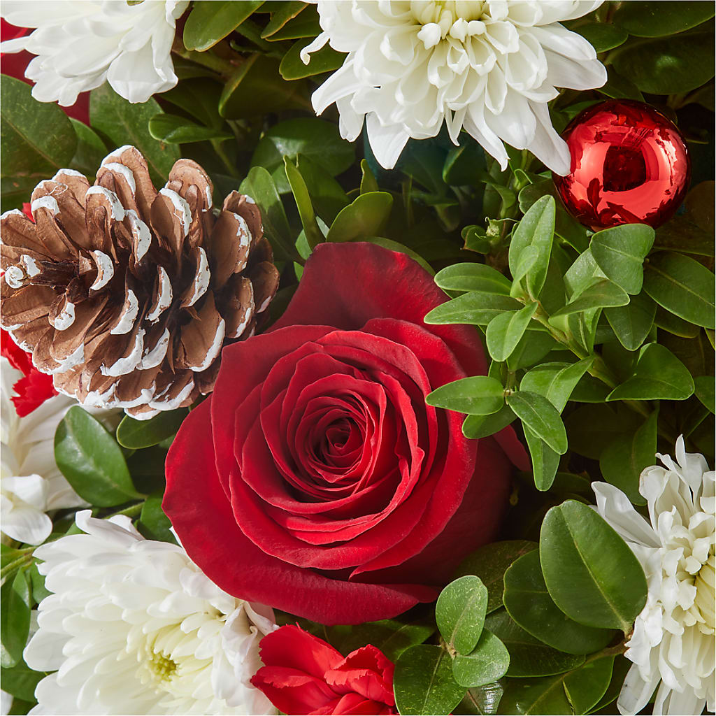 Let It Snow Tree –  Gainesville Floral Exchange, Gainesville FL