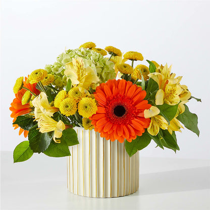 Autumn Sunshine Bouquet with Ivory Vase –  Gainesville Floral Exchange, Gainesville FL