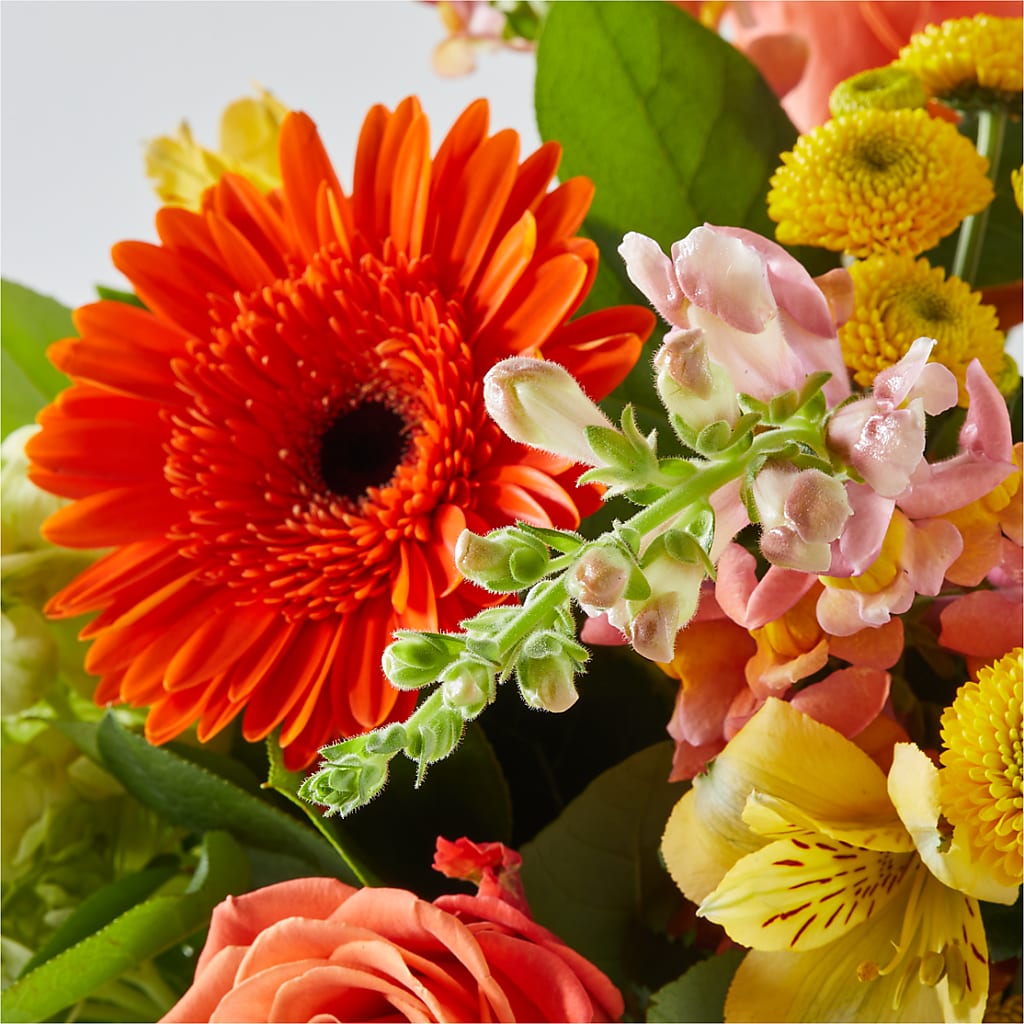 Autumn Sunshine Bouquet –  Gainesville Floral Exchange, Gainesville FL