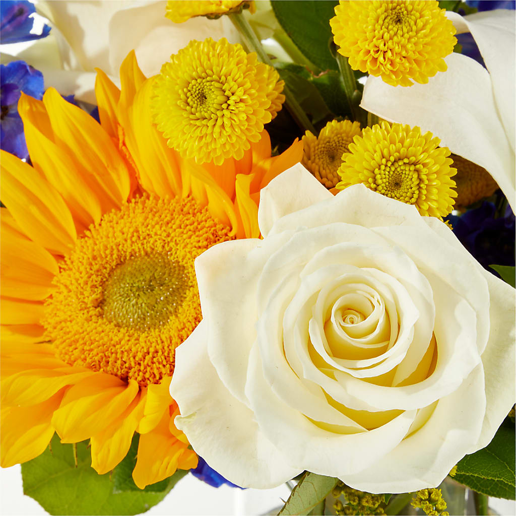 Stargazing Bouquet –  Gainesville Floral Exchange, Gainesville FL