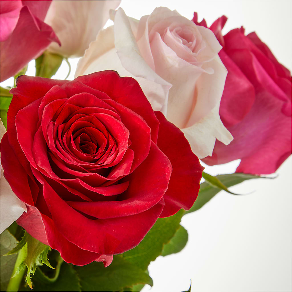 Charming Rose Bouquet –  Gainesville Floral Exchange, Gainesville FL