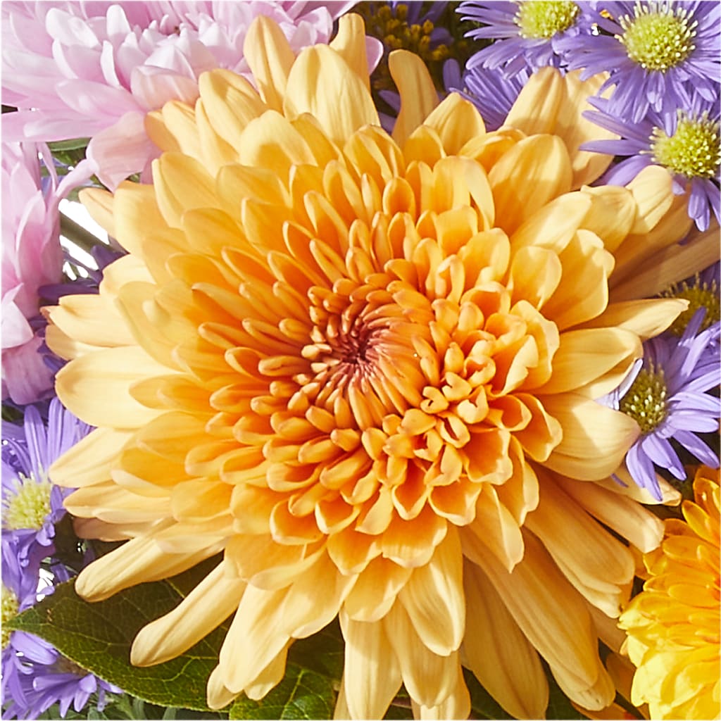 Countryside Bouquet –  Gainesville Floral Exchange, Gainesville FL