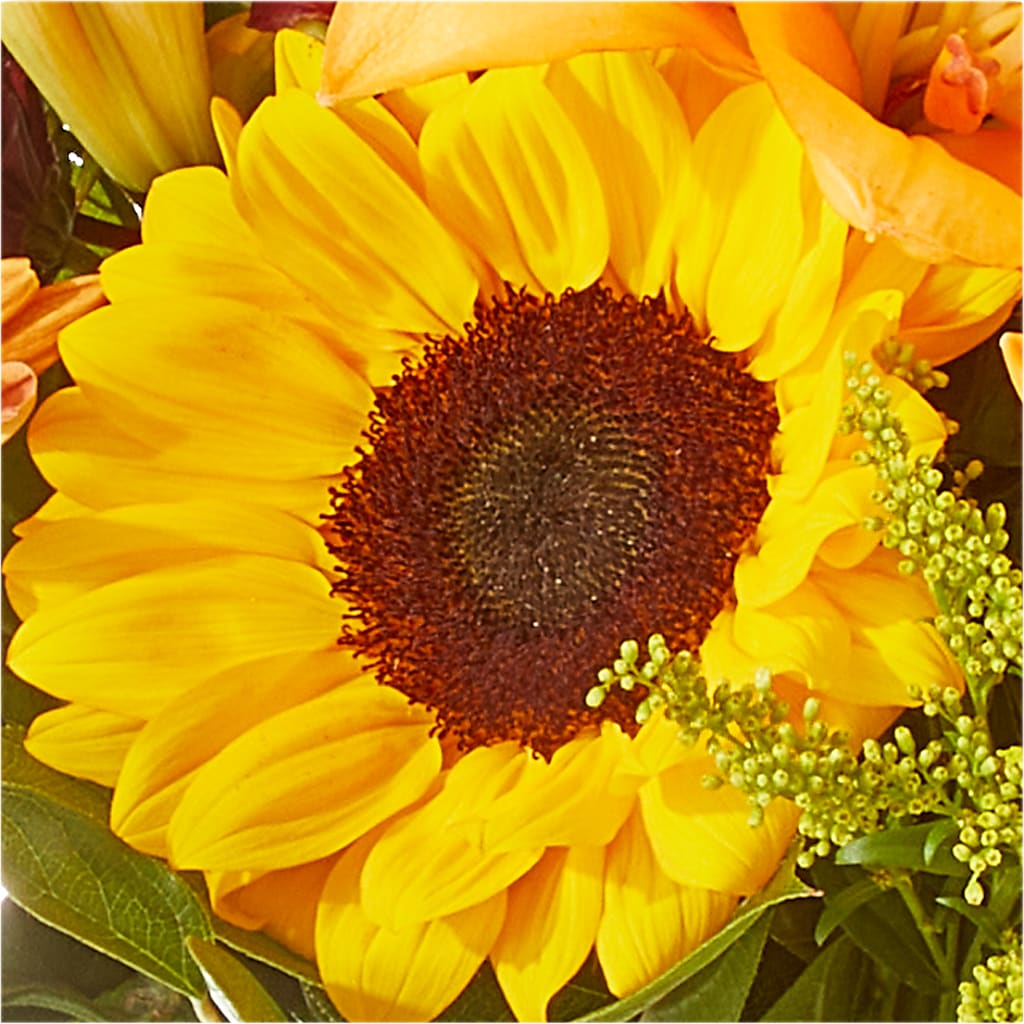 Seasons Change Bouquet –  Gainesville Floral Exchange, Gainesville FL