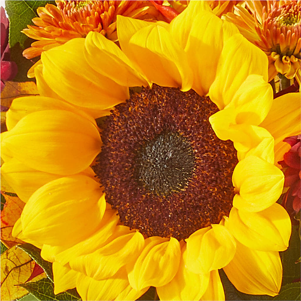 Sunny Side Bouquet –  Gainesville Floral Exchange, Gainesville FL