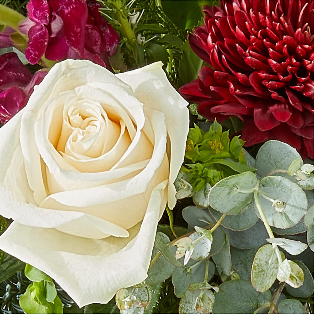 Cranberry Fizz Bouquet –  Gainesville Floral Exchange, Gainesville FL