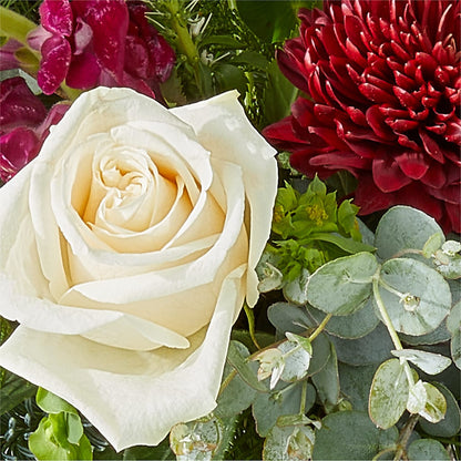 Cranberry Fizz Bouquet –  Gainesville Floral Exchange, Gainesville FL