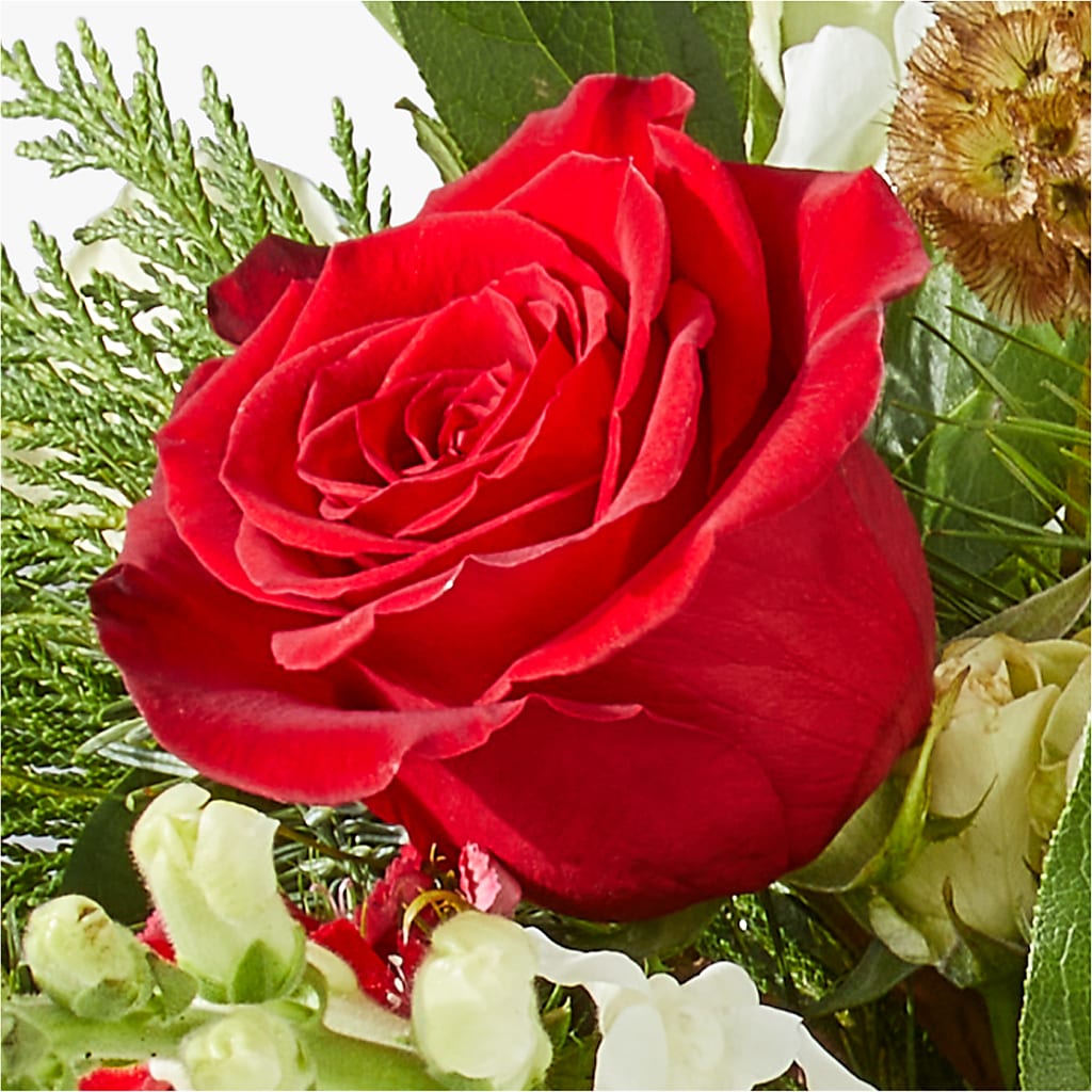 Deck the Halls Bouquet –  Gainesville Floral Exchange, Gainesville FL