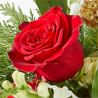 Deck the Halls Bouquet –  Gainesville Floral Exchange, Gainesville FL