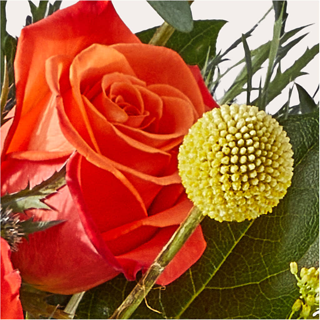 Disco Bouquet –  Gainesville Floral Exchange, Gainesville FL