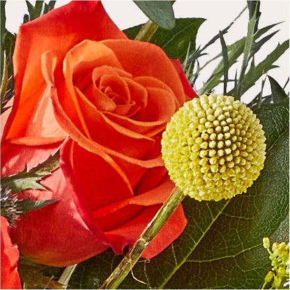 Disco Bouquet –  Gainesville Floral Exchange, Gainesville FL