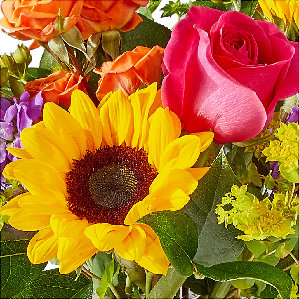Vibrant Greetings Bouquet –  Gainesville Floral Exchange, Gainesville FL