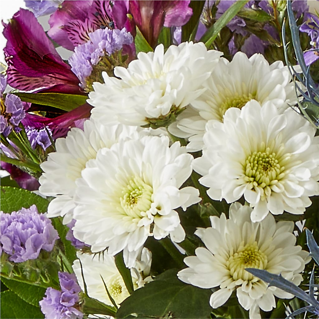 Shooting Star Bouquet –  Gainesville Floral Exchange, Gainesville FL