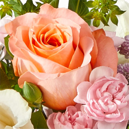 French Market Bouquet –  Gainesville Floral Exchange, Gainesville FL