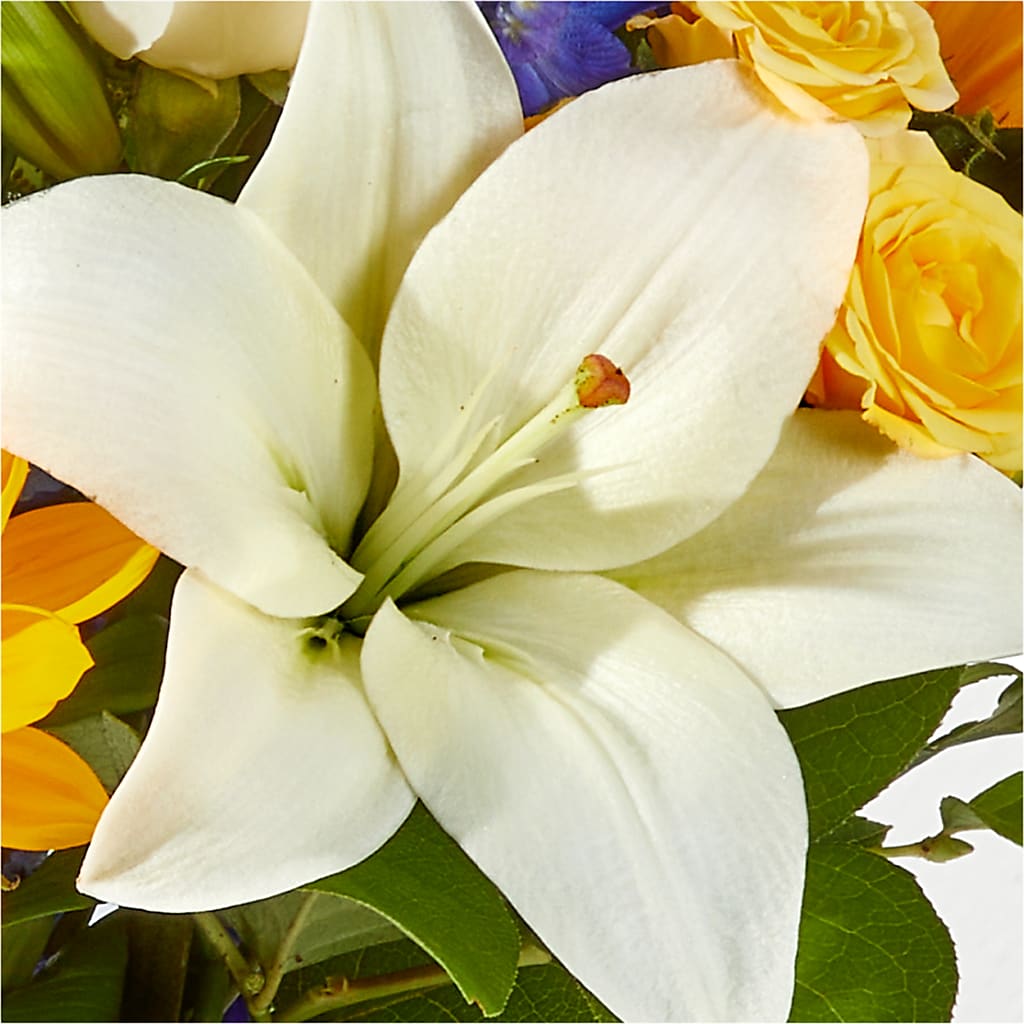 Wonderfully Sunny Bouquet –  Gainesville Floral Exchange, Gainesville FL