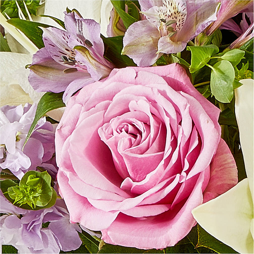 Daydreamer Bouquet –  Gainesville Floral Exchange, Gainesville FL