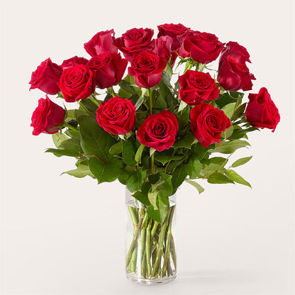 The One Red Rose Bouquet –  Gainesville Floral Exchange, Gainesville FL
