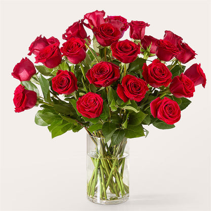 The One Red Rose Bouquet –  Gainesville Floral Exchange, Gainesville FL