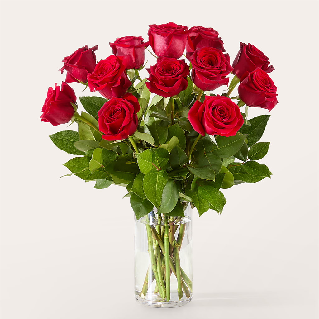 The One Red Rose Bouquet –  Gainesville Floral Exchange, Gainesville FL