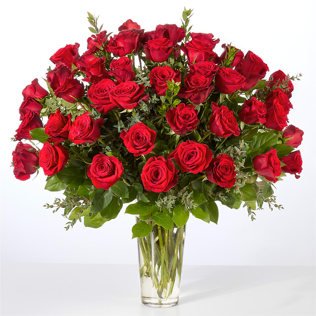 Forever Yours Fifty Stem Red Rose Bouquet –  Gainesville Floral Exchange, Gainesville FL