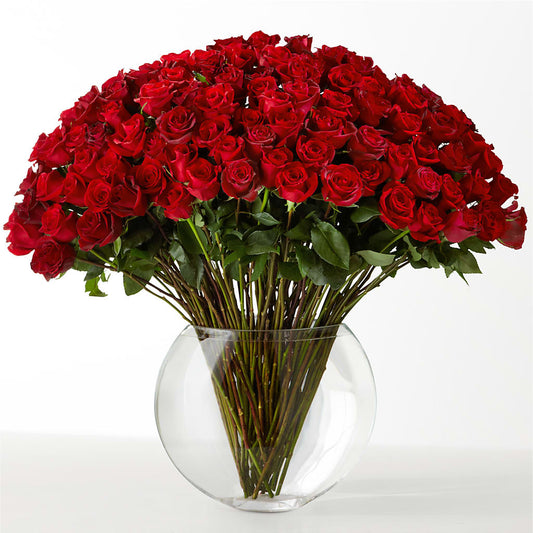 The Idealist –  Gainesville Floral Exchange, Gainesville FL