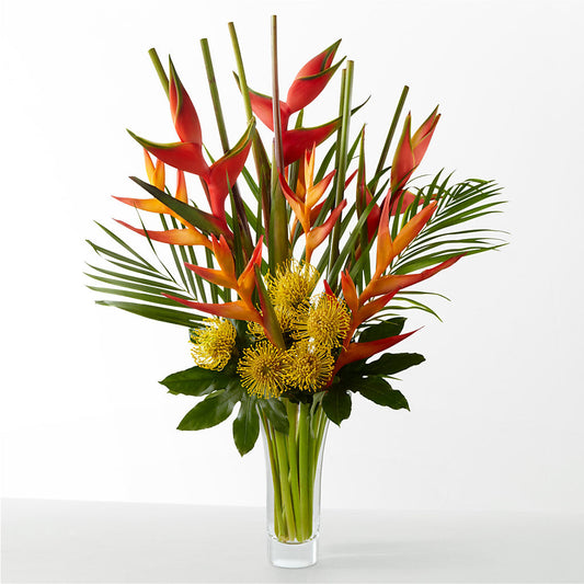 The Drama –  Gainesville Floral Exchange, Gainesville FL