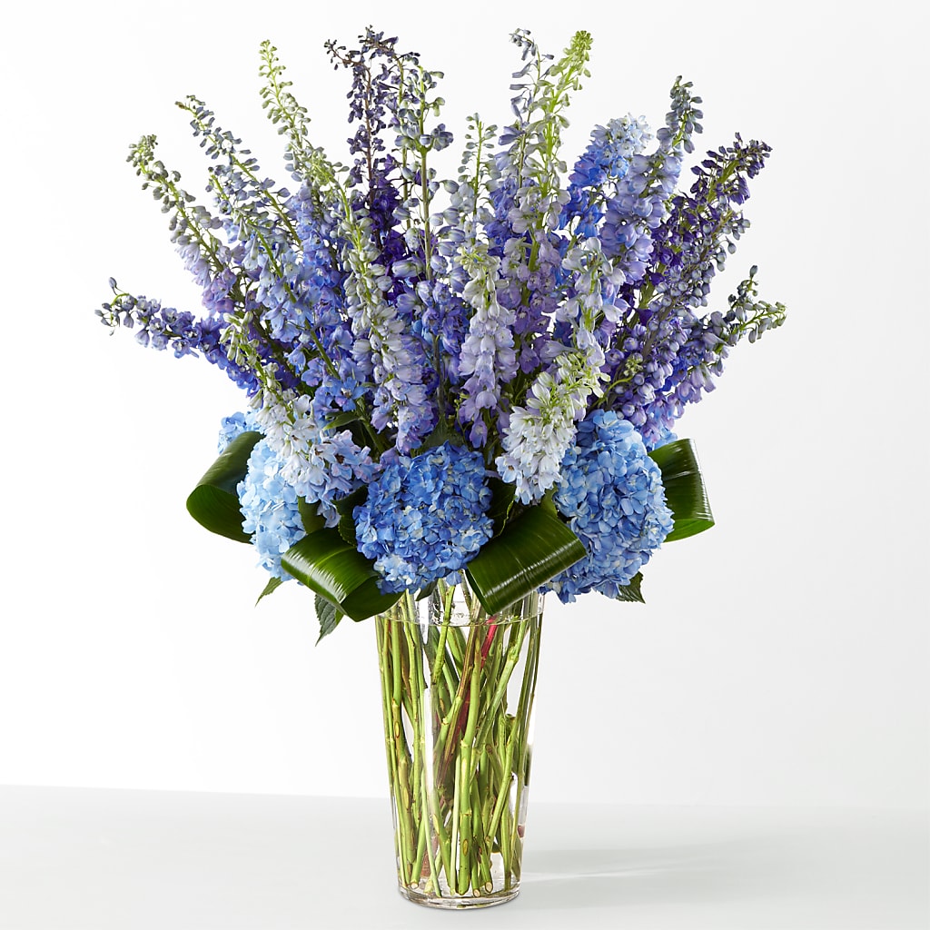 The Editorial –  Gainesville Floral Exchange, Gainesville FL