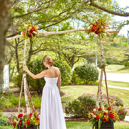 Arbor of Love Archway –  Gainesville Floral Exchange, Gainesville FL