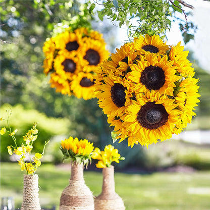 Sublime Garden Hanging Arrangement –  Gainesville Floral Exchange, Gainesville FL