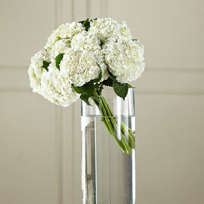 White Hydrangea Hand-Tied Bouquet –  Gainesville Floral Exchange, Gainesville FL