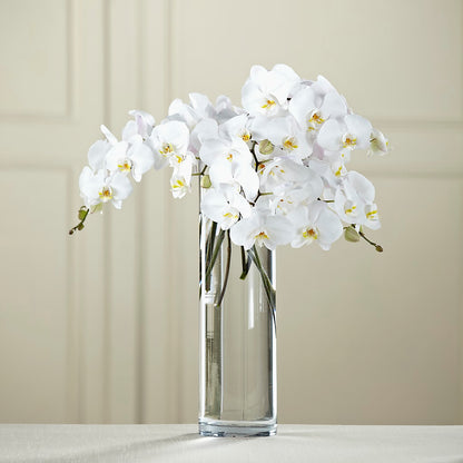 White Phalaenopsis Bouquet –  Gainesville Floral Exchange, Gainesville FL