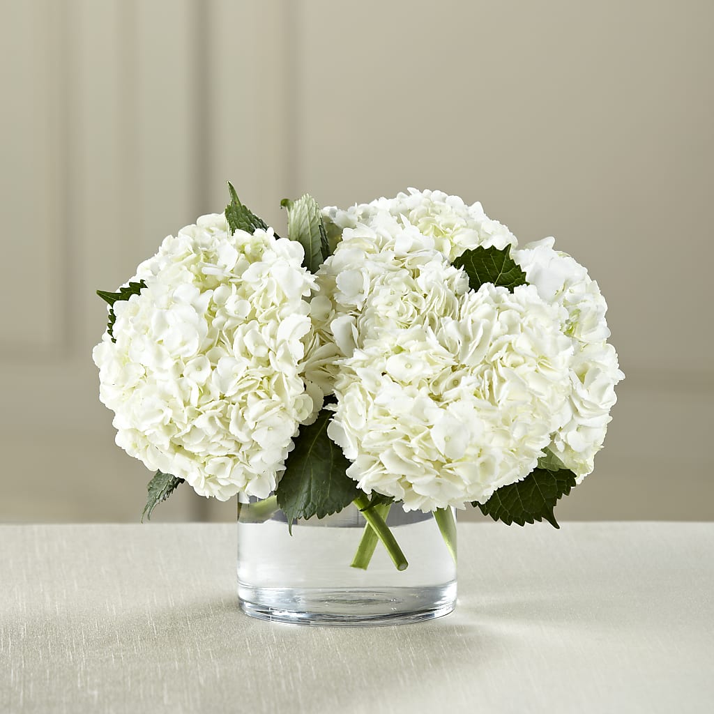 White Hydrangea Bouquet –  Gainesville Floral Exchange, Gainesville FL
