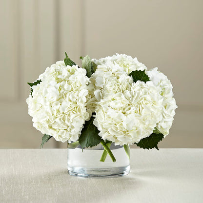 White Hydrangea Bouquet –  Gainesville Floral Exchange, Gainesville FL